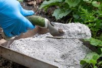 The Garden’s Secret Weapon: 15 Surprising Wood Ash Applications