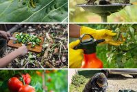 Your Garden’s Secret Weapon 24 Baking Soda Tricks