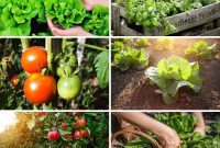 30 Dynamic Duos for a Bountiful Backyard