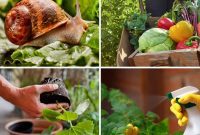 Grow Smarter: Epsom Salt Hacks for Your Garden