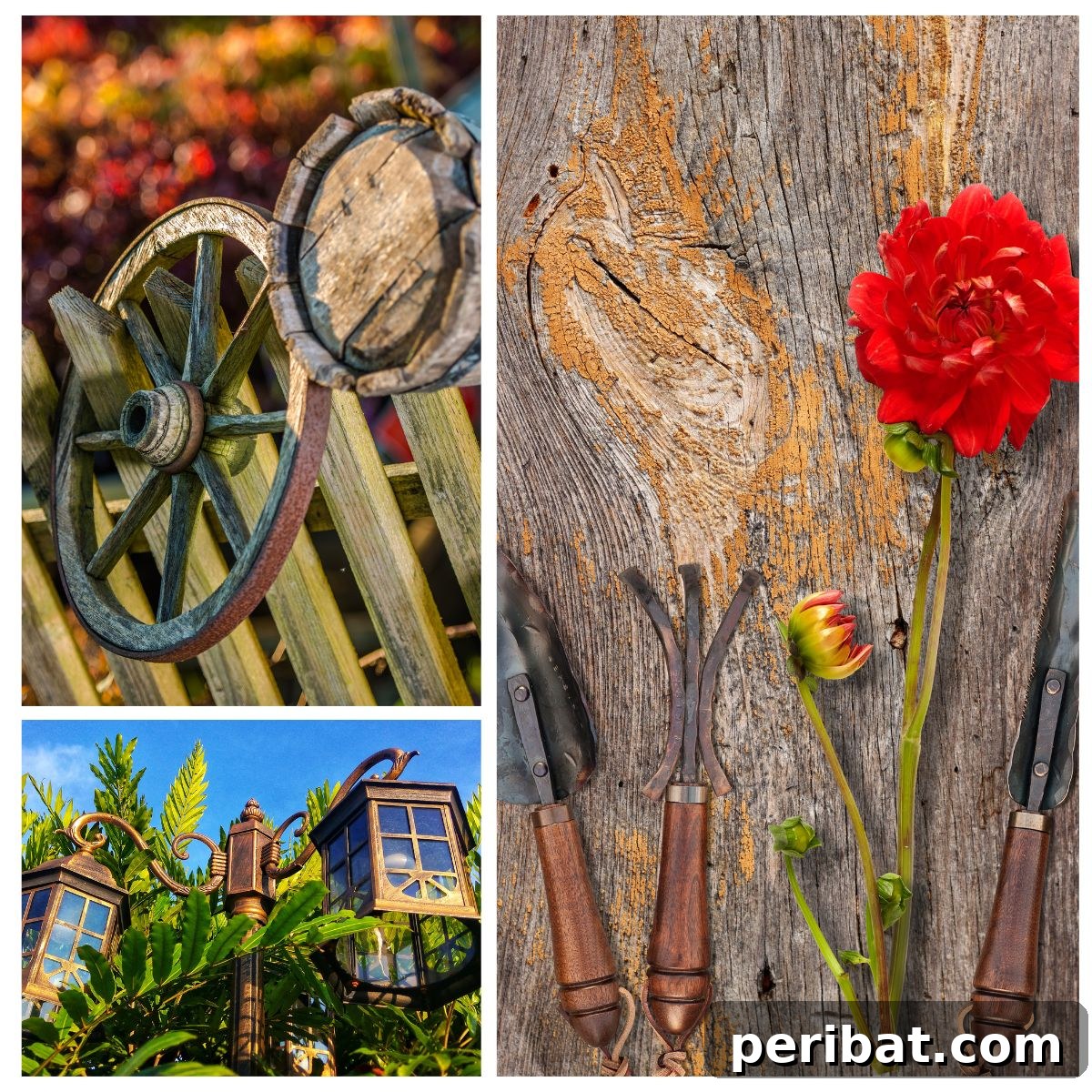 featured 102440