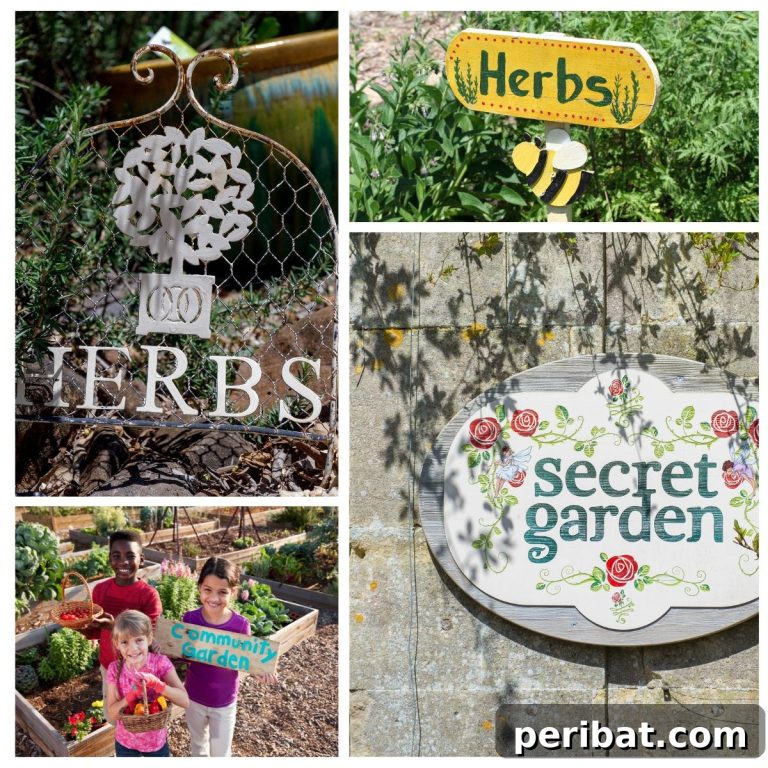 featured 102764