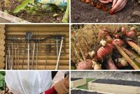 15 Smart Moves for a Winter Ready Garden