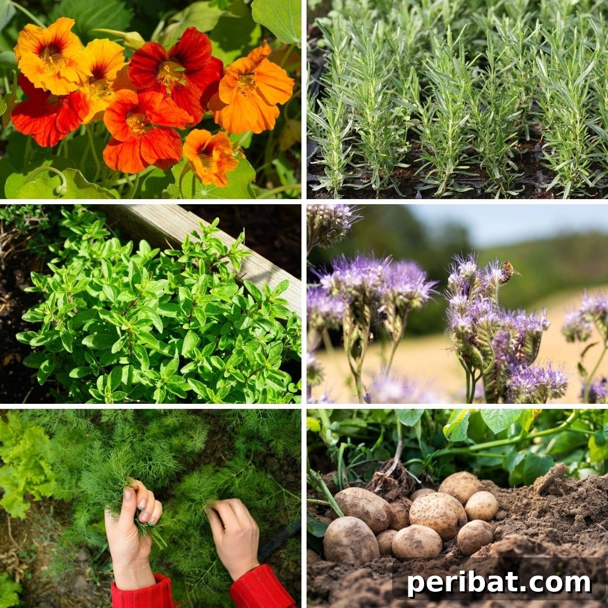 featured 113545