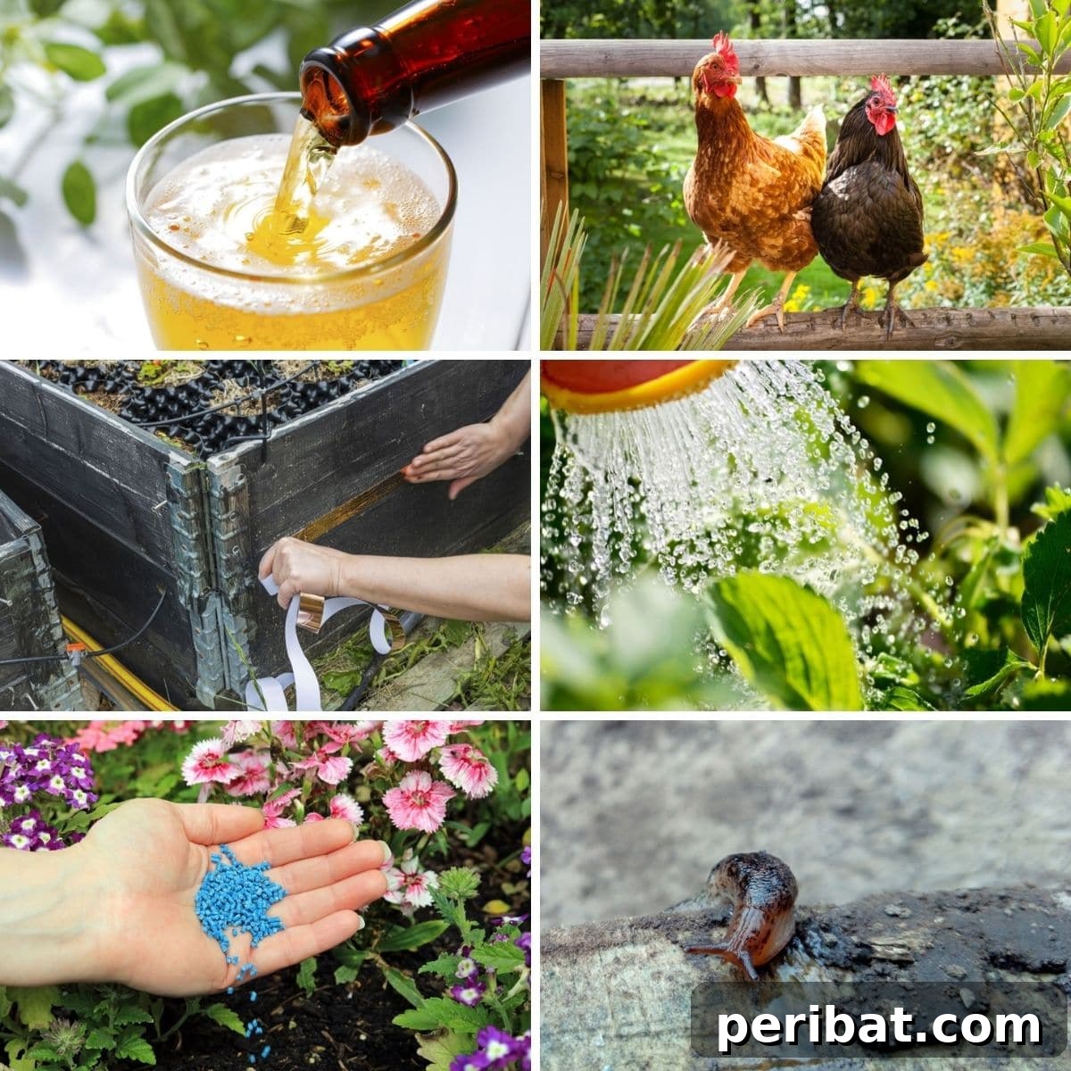 featured 113571