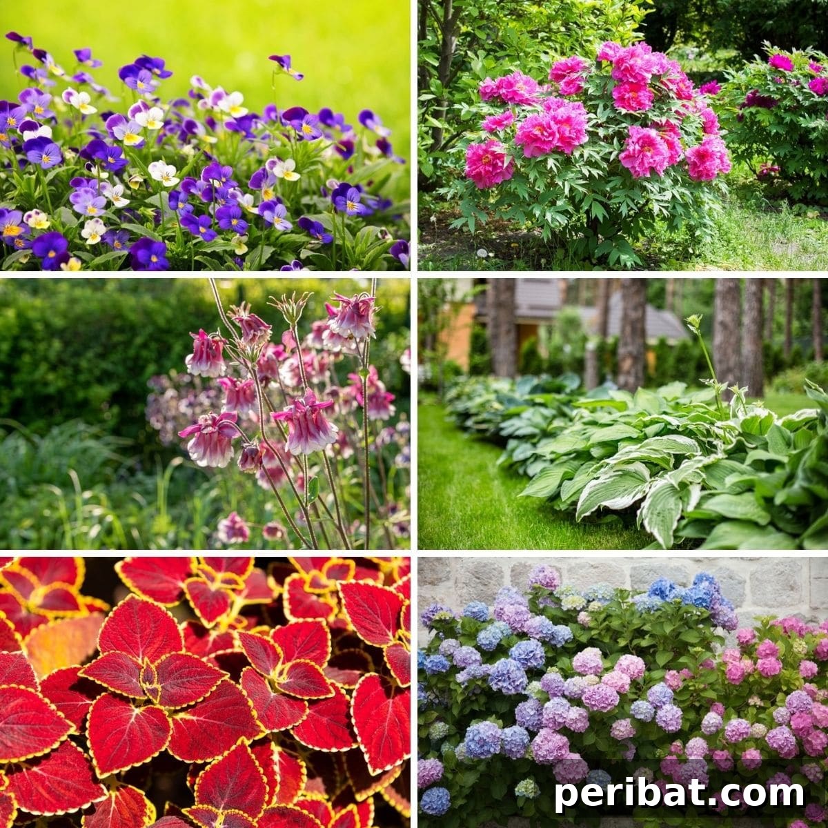featured 113653