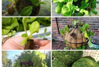 Build Your Own Lettuce Globe for Effortless Summer Salads