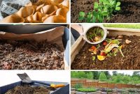 15 Expert Strategies for Pre-Planting Soil Improvement