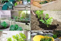 Fortify Your Young Plants: 15 Master Gardener Hardening Off Strategies