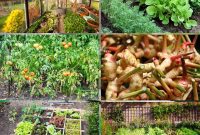 10 Crucial Tips for Building Your Survival Garden