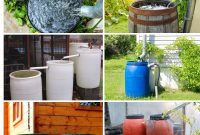 5 Easy Steps to Build a Rain Barrel for Your Garden
