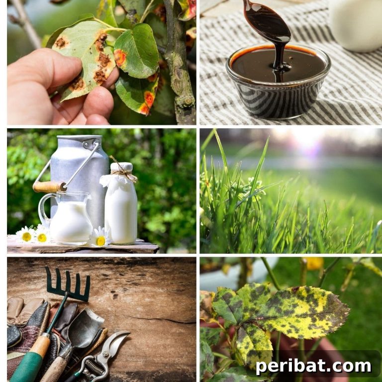 featured 114194