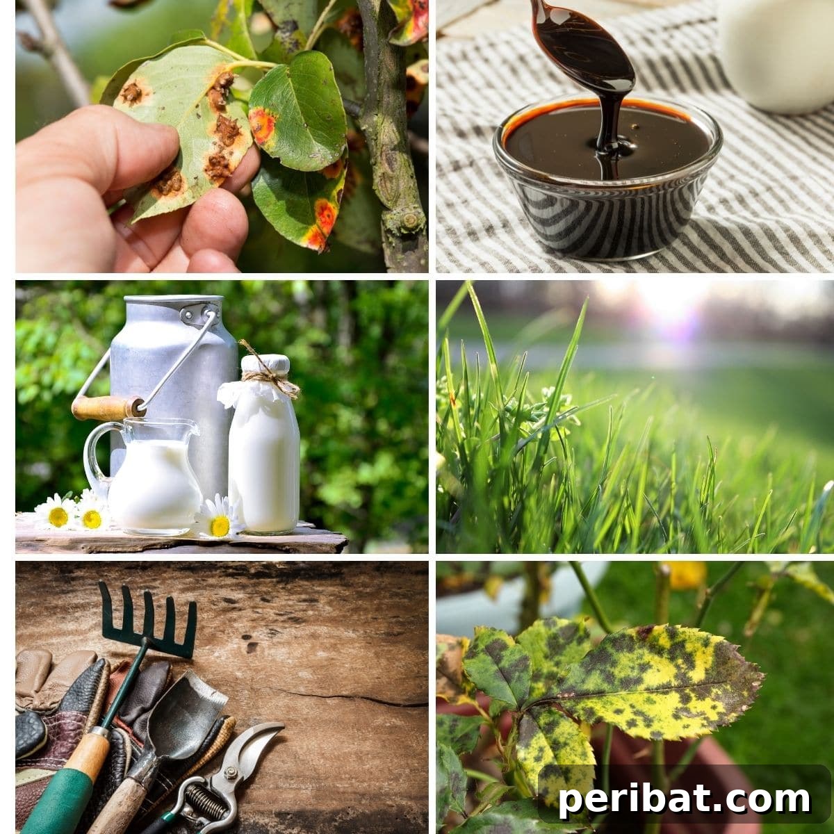 featured 114194