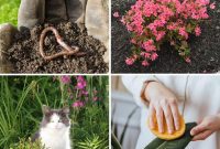 13 Clever Tea Bag Uses for a Healthier Garden