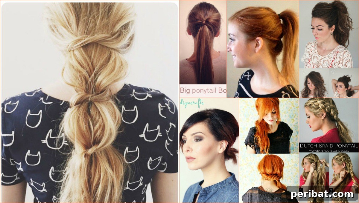 featured 11449