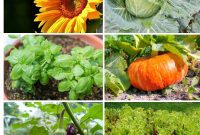 23 Plant Nemeses: Why Certain Species Should Never Coexist
