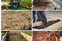 Smart Ways to Fill Raised Beds Affordably