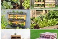 Unlock Your Pallet Garden’s Potential: 11 Essential Hacks