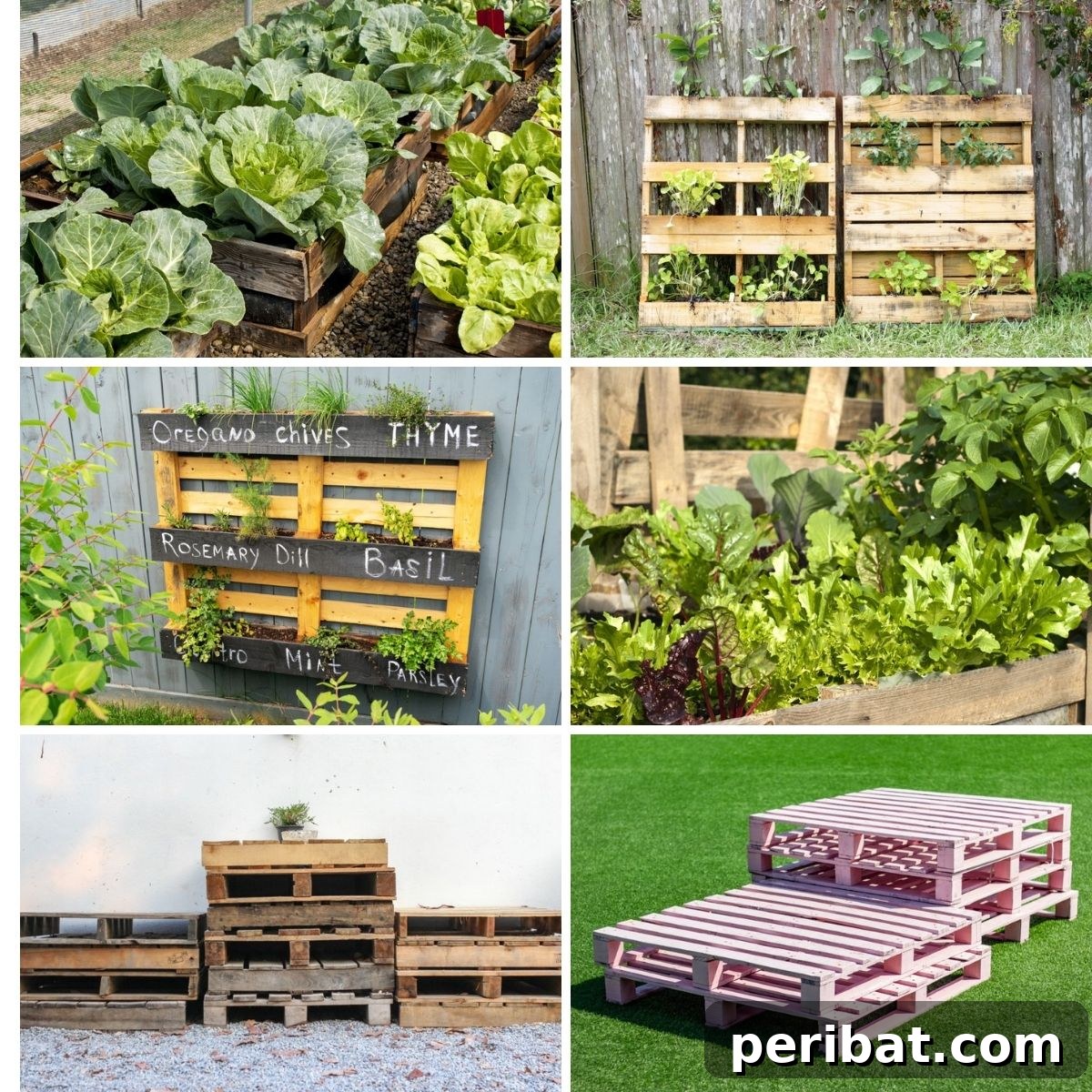 featured 114681