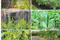 Boost Your Cucumber Harvest: 9 Easy Trellising Methods