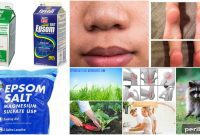 Epsom Salt: 40 Everyday Uses to Transform Your Life