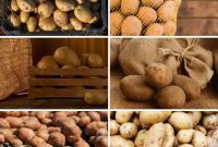 6 Clever Potato Storage Hacks for Lasting Freshness