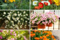 21 Flowers Your Vegetable Garden Needs to Thrive