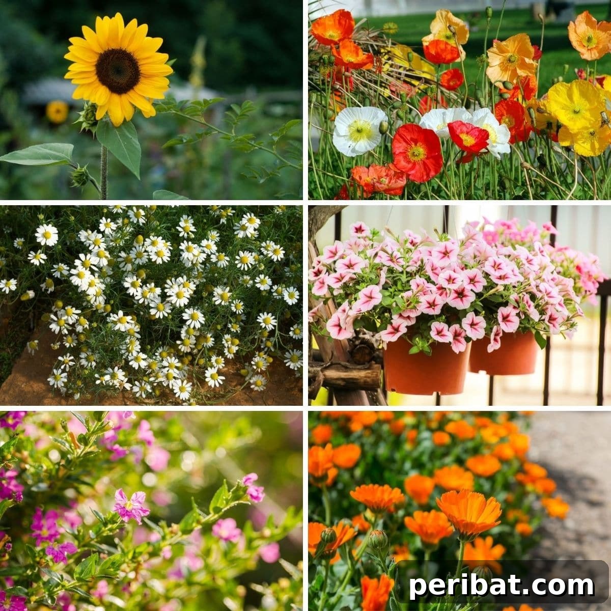 featured 116389