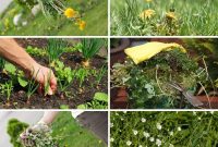 Effortless Weeding: 17 Expert Secrets for a Beautiful Garden