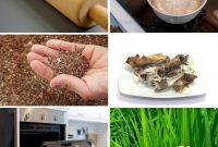 Supercharge Your Garden: DIY Bone Meal for Bumper Harvests