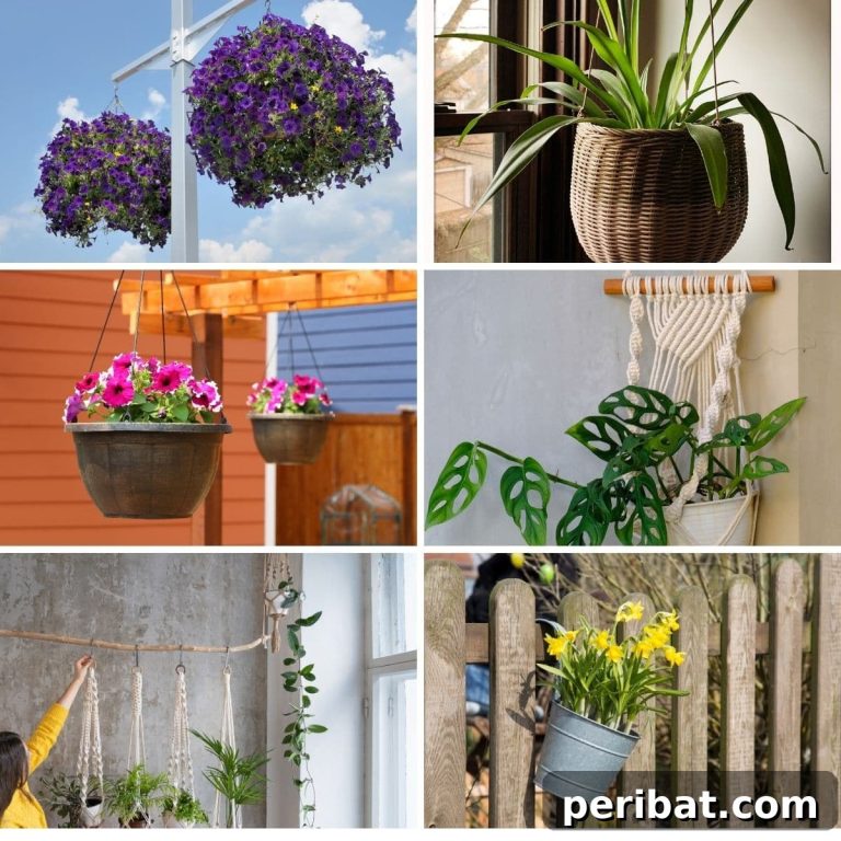 featured 116652