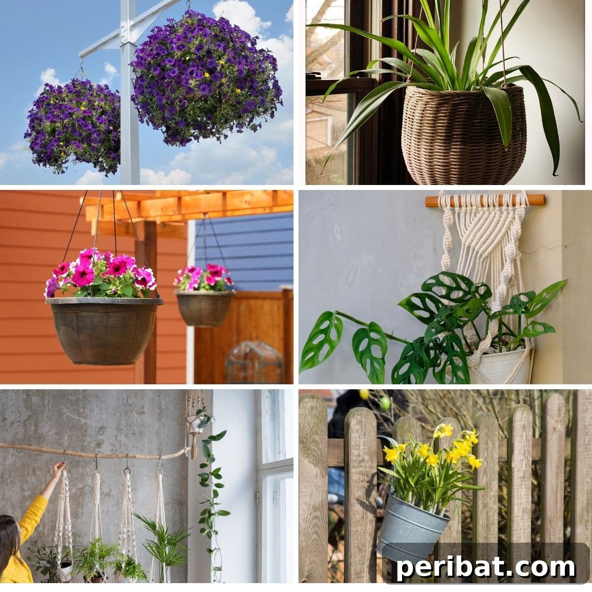 featured 116652