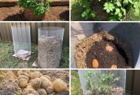 Potato Tower Success: Grow Your Best Harvest Yet