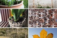 Unlock Your Garden’s Potential: 6 Brilliant DIYs with Free Sticks and Twigs