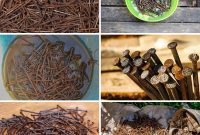 The Rusty Nail Trick Your Plants Are Craving
