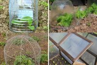 Upcycled Garden Cloches: Clever Ways to Shield Your Plants