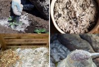 Boost Your Garden: 5 Wood Ash Uses and Storage Guide