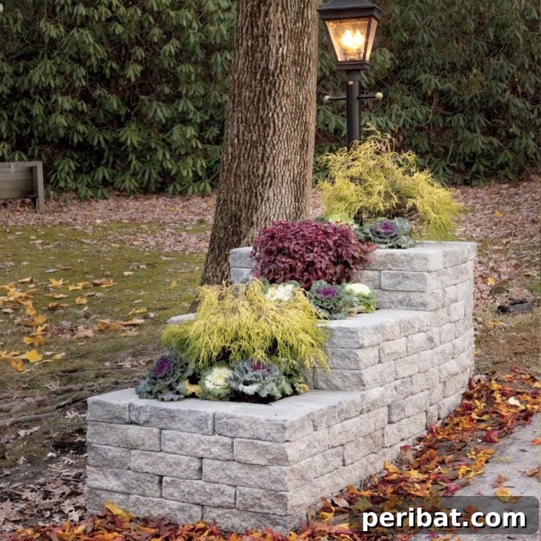 featured 11798