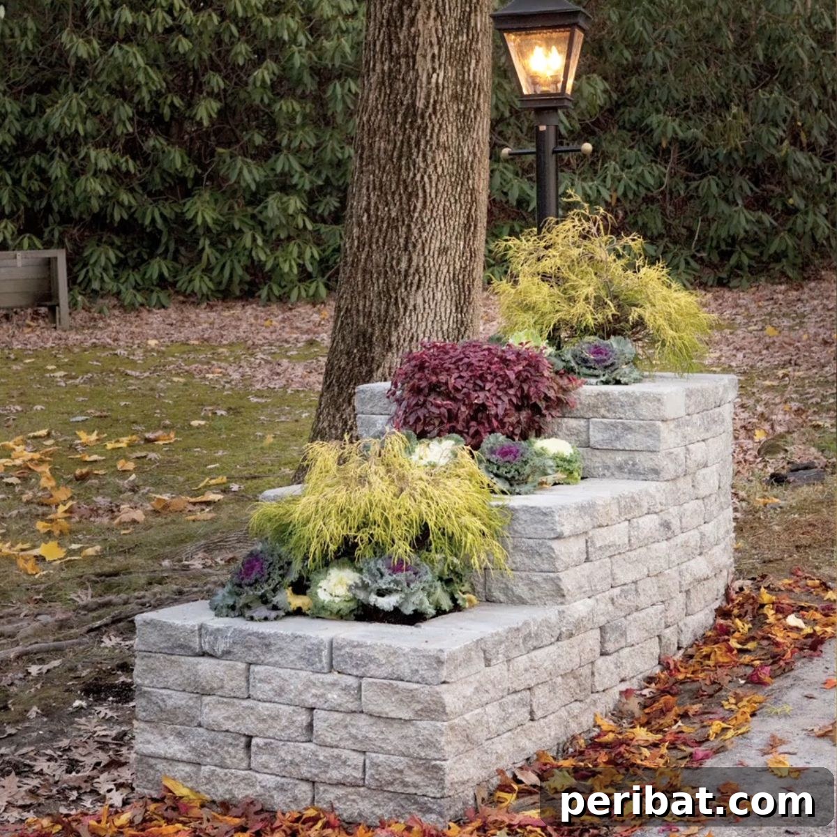 featured 11798