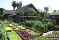 The 6,000 Pound Harvest Urban Homesteading for Sustainable Living