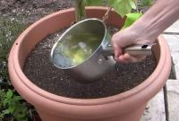 10 Ingenious Garden Hacks to Make Your Plants Thrive and Your Life Easier