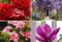From Snip to Shrub: 15 Varieties You Can Grow from Cuttings