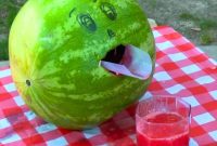 Two Minute Watermelon Wonder