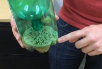 Mosquito-Proof Your Outdoors: Effective Traps for Uninterrupted Fun