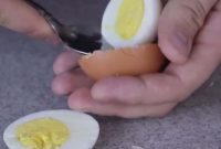 Spoon Magic: Peel Eggs Flawlessly Every Time