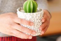 Nature-Inspired Upcycled Tin Can Planters