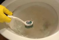 The Vinegar Secret to a Spotless Toilet