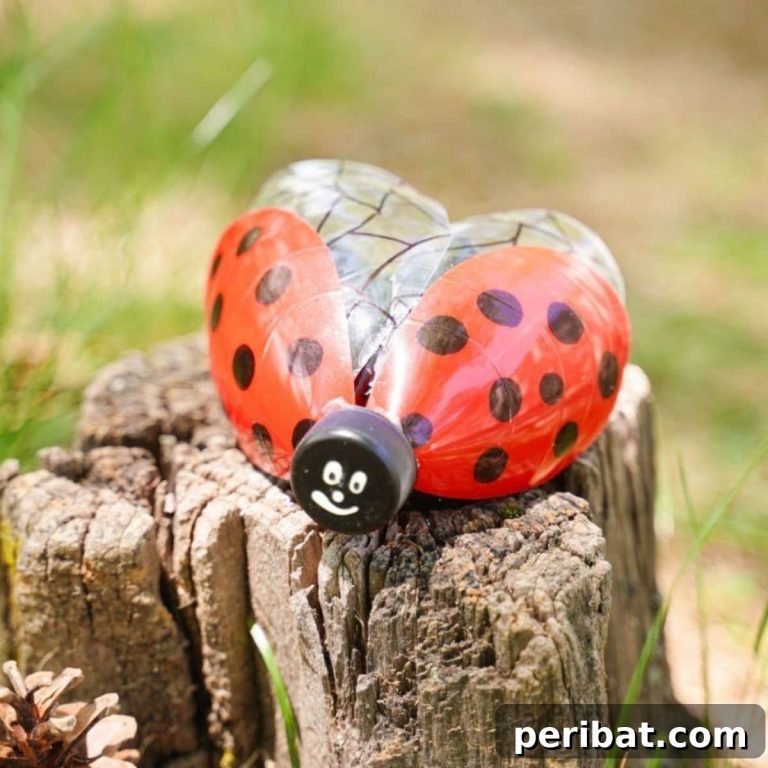 featured 135813