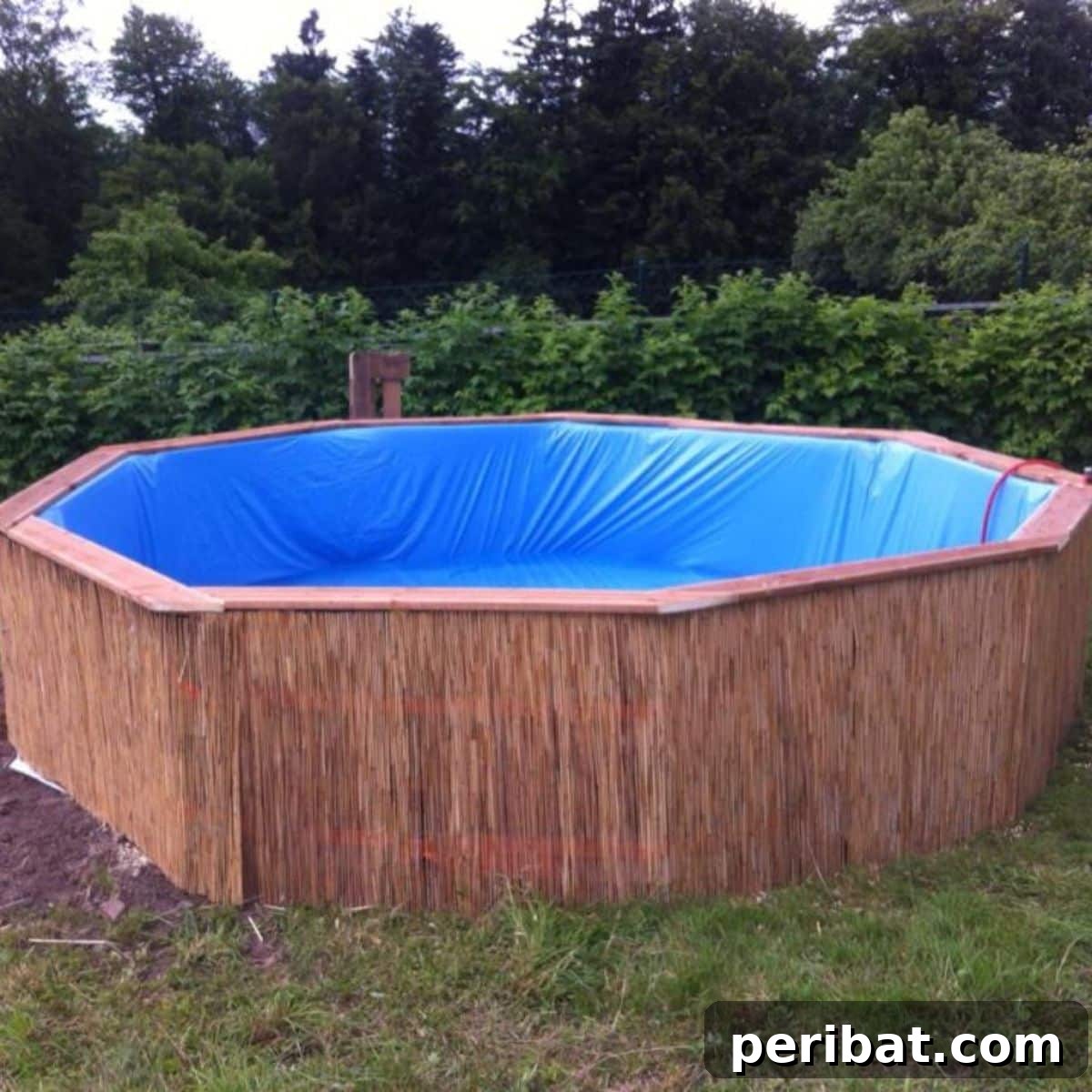 featured 13823