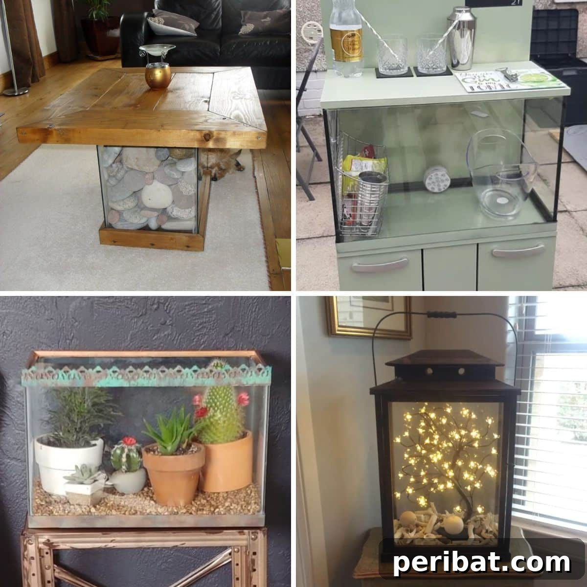 featured 156244